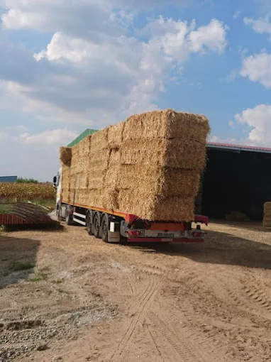 Transport de bottes de paille